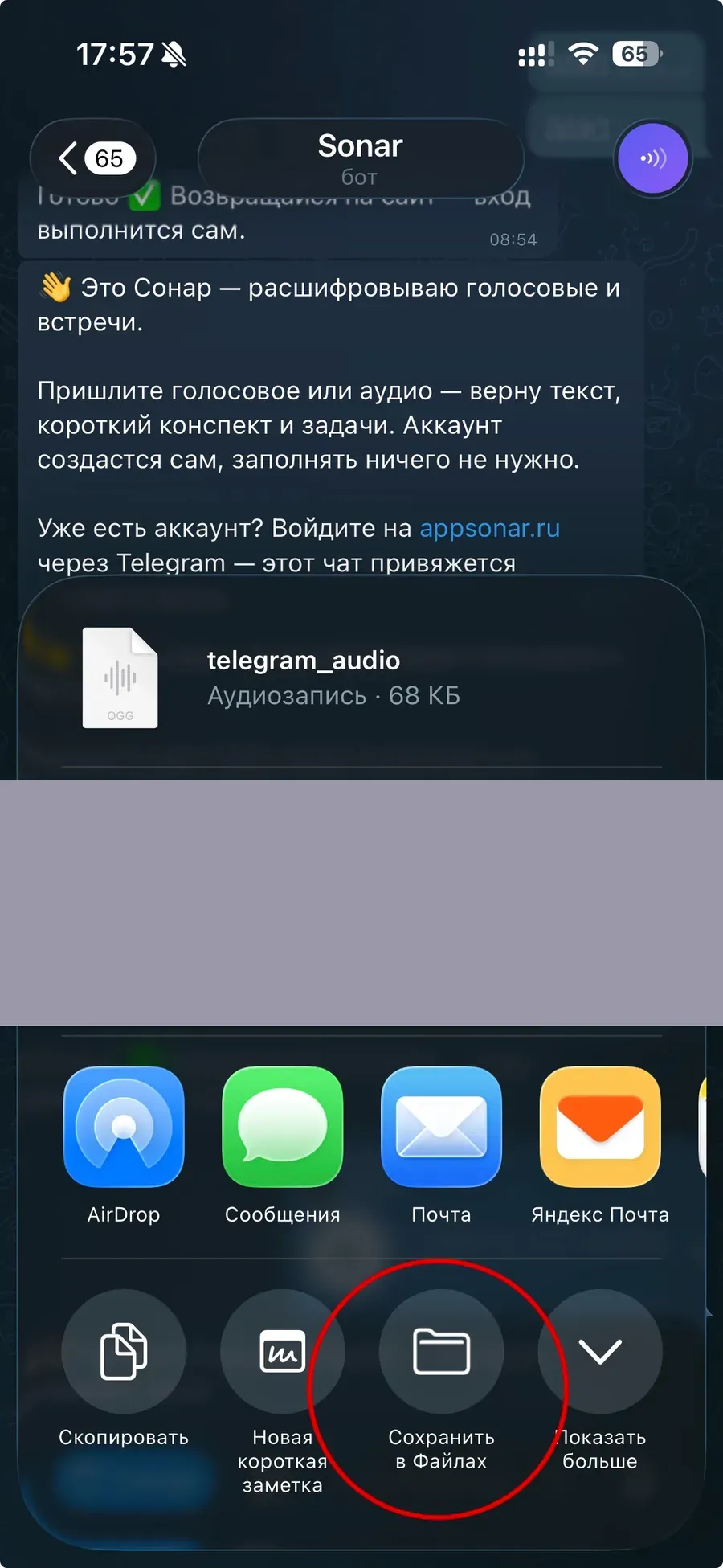Системный лист «Поделиться» на iPhone со списком действий, среди них — сохранение в Файлах